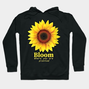 Bloom Where You Are Planted Great Sunflower Motivation Quote Hoodie